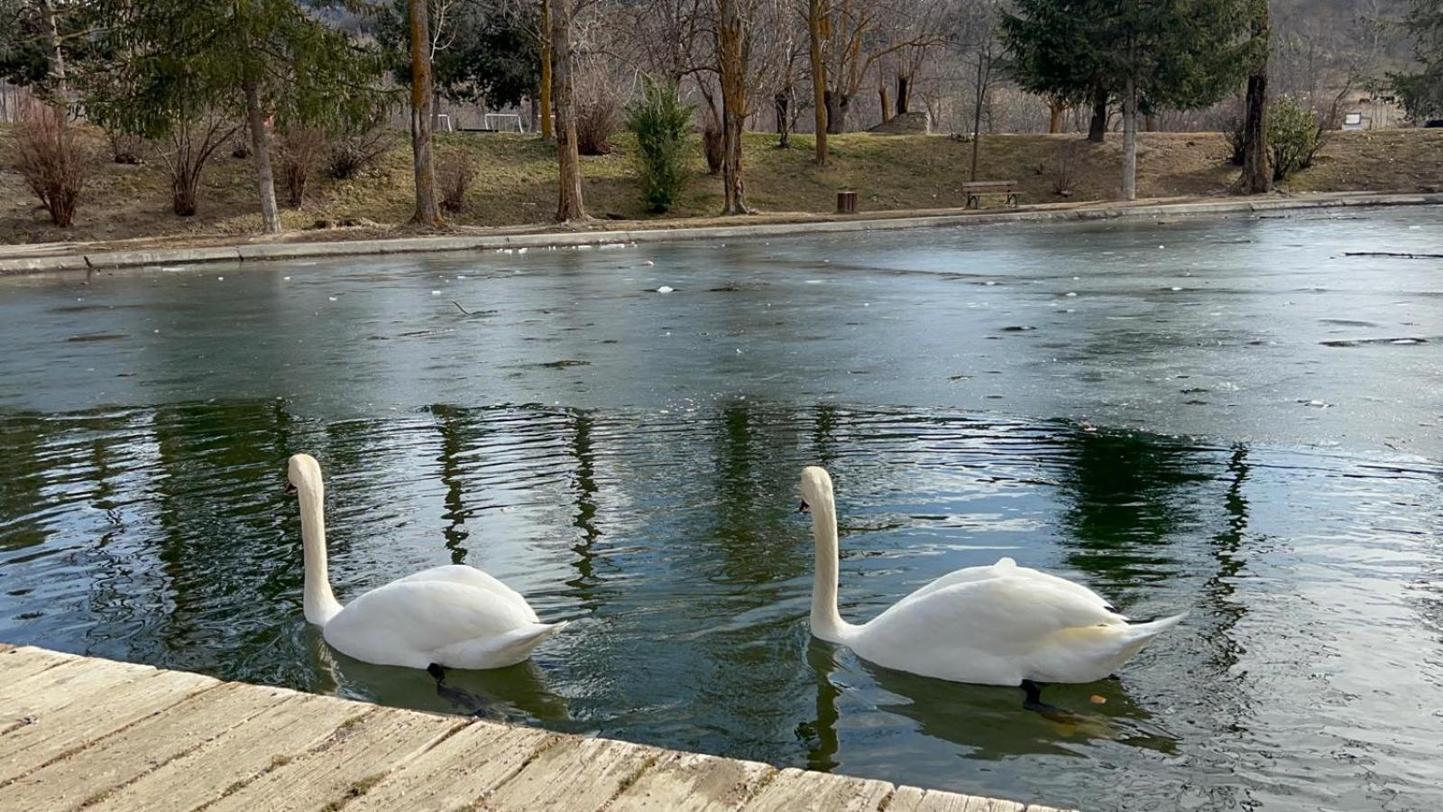 Apartament Del Llac Osséja Dış mekan fotoğraf